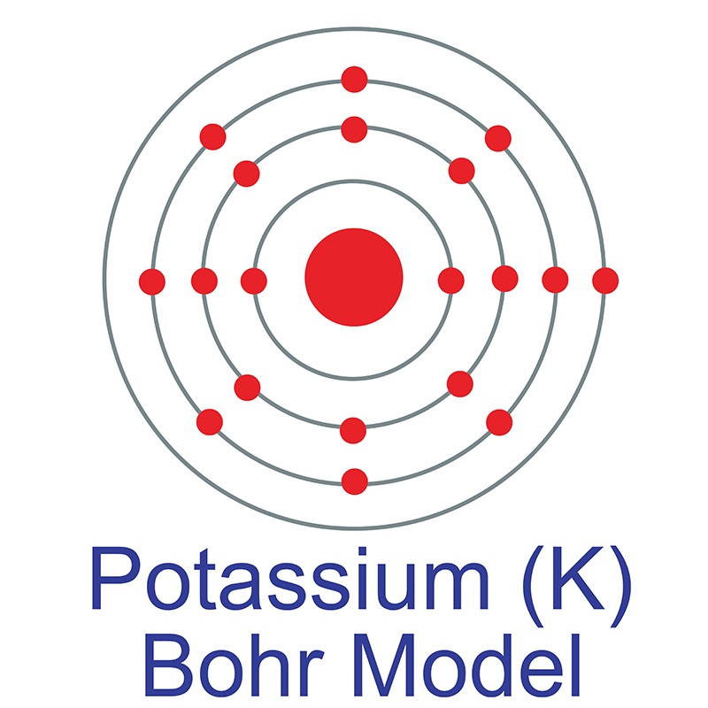 bohr model of potassium atom