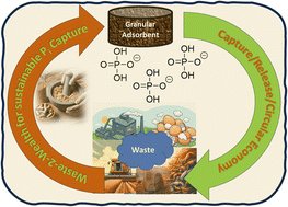 University of Saskatchewan research team develops bioplastic that can absorb phosphate from water and be used as fertilizer