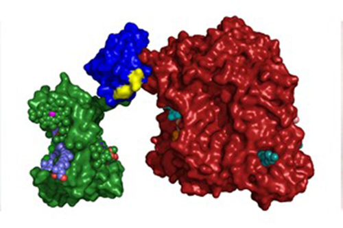 Potassium Trioxalatoferrate(III) Trihydrate | AMERICAN ELEMENTS