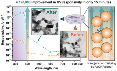 Macquarie University researchers develop vinegar vapor method that could make UV sensors 128,000x more responsive