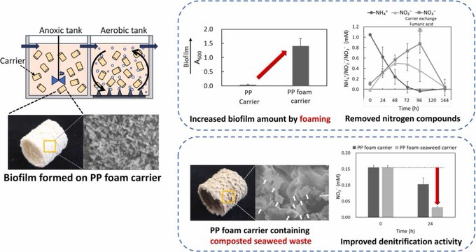 Osaka Metropolitan University-led team discovers foamed plastic carriers boost biofilm formation in wastewater treatment