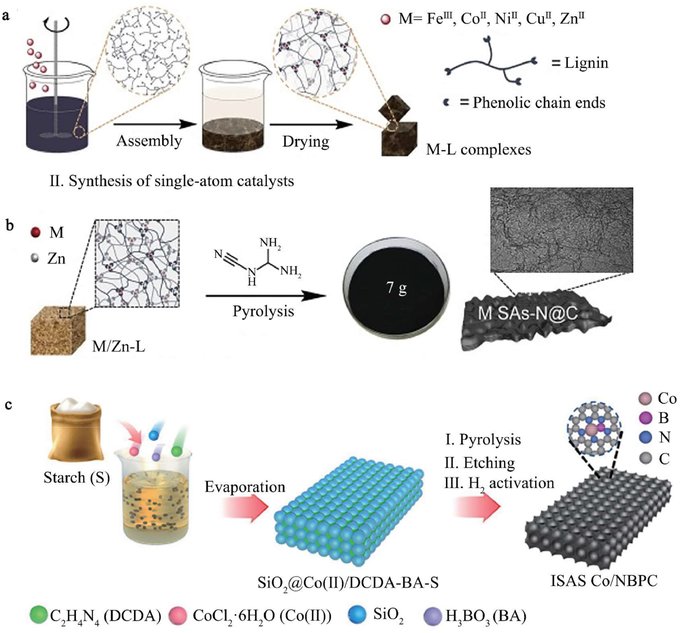 Monash University research team introduces biomass-derived single-atom catalysts with promise for sustainable chemical production