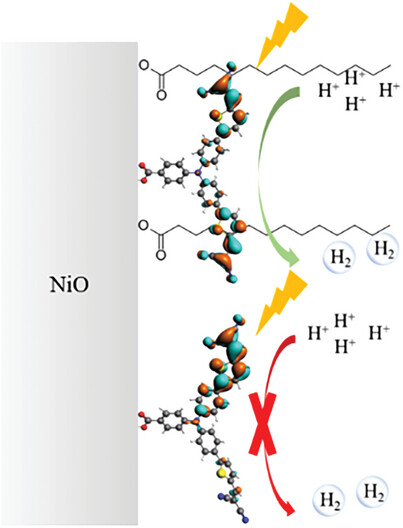 PhD graduate Kaijian Zhu (University of Twente) shows that reducing the light-induced twisting of molecules can turn hydrogen generation on