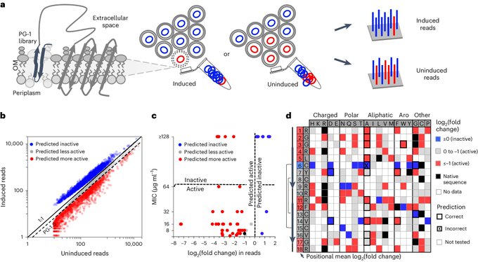 University of Texas at Austin researchers harness AI to transform a toxic antibiotic into a life-saving drug, showing promise in animal trials