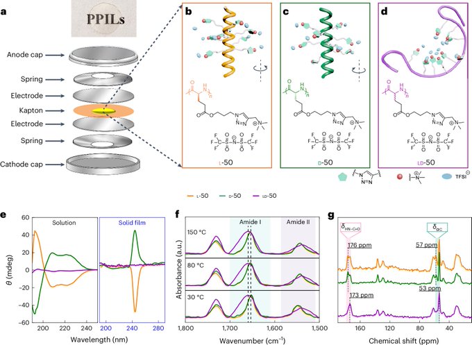 University of Illinois Urbana-Champaign researchers develop helical structured peptide polymer electrolytes with superior conductivity and stability