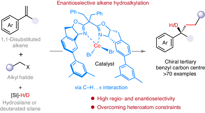 USTC researchers overcome heteroatom constraints via cobalt catalysis