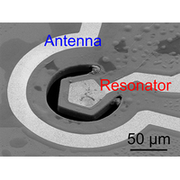 Research team maps atomic vibrations in diamond, opening avenues for quantum sensing