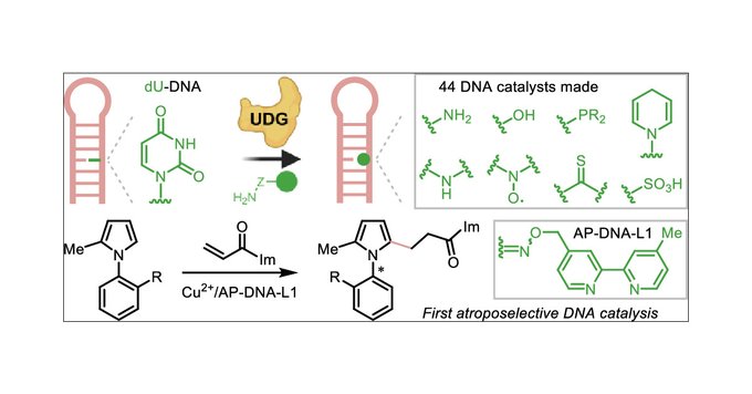 Chemists develop chiral DNA catalysts for asymmetric catalysis