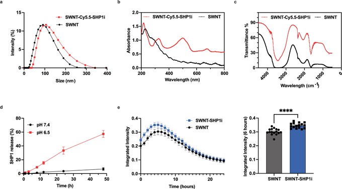 New nanotherapy targets artery inflammation in cardiovascular disease