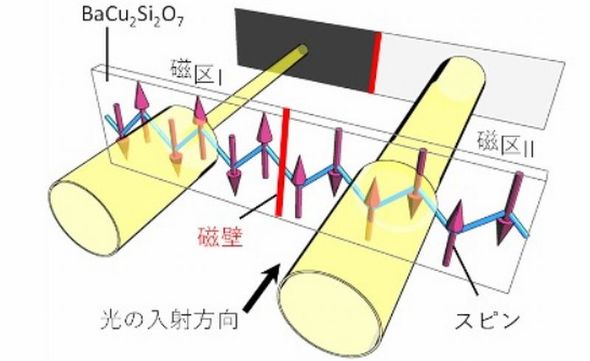 Scientists use light to visualize magnetic domains in quantum materials