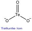 Tellurite Ion
